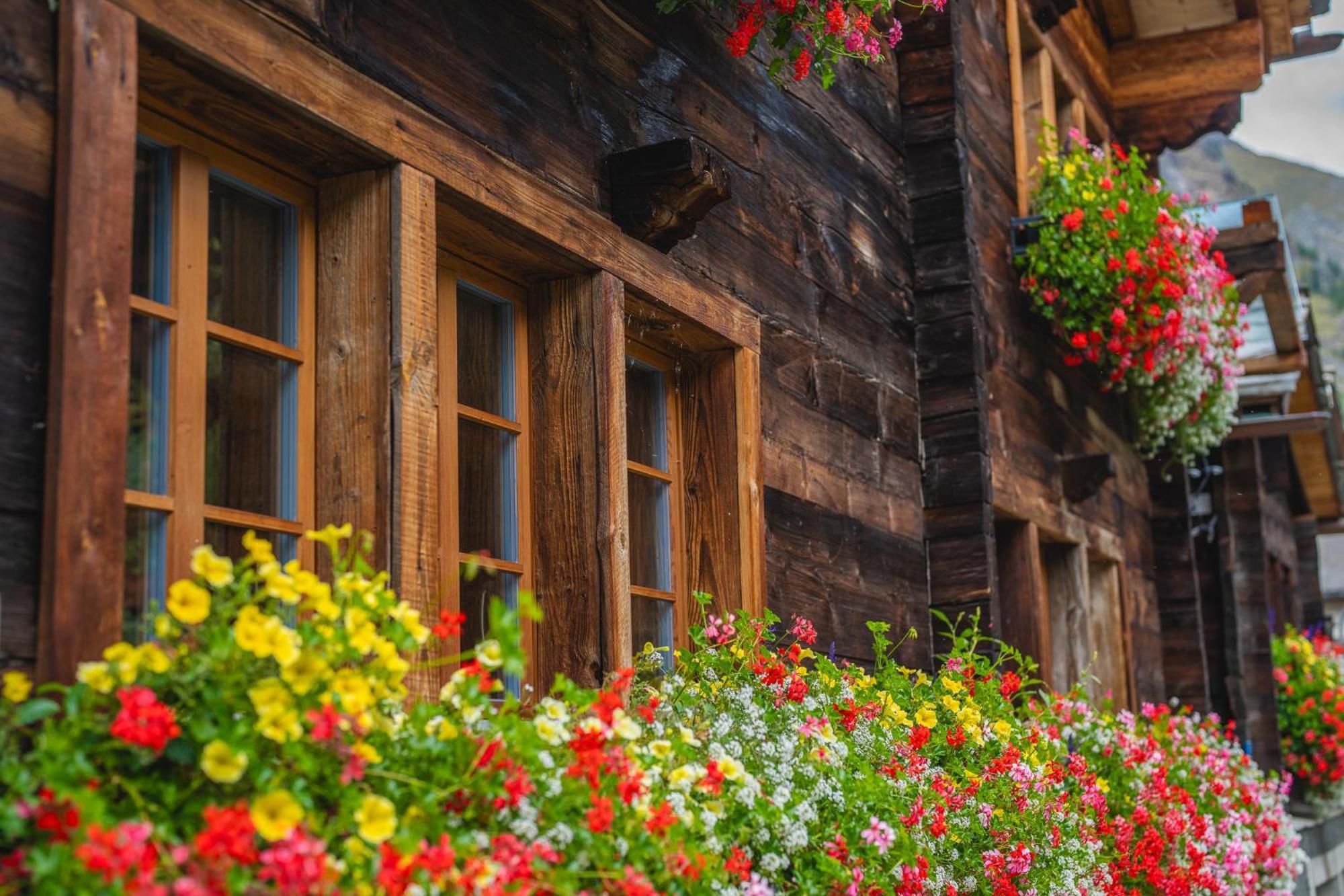 Chalet Schuler Zermatt Dış mekan fotoğraf